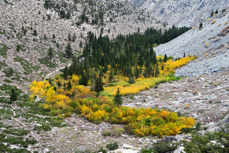 Illustration for article titled 48 Photos Of Autumn Around The World